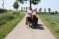 /album/menrit-04-06-2011/a06-04-2011-120-jpg/